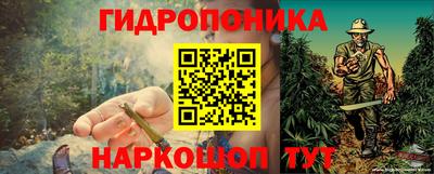 эйфоретик Заводоуковск