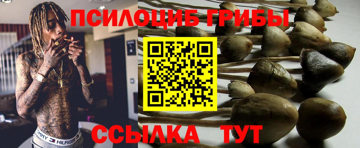 Лангепас  Галлюциногенные грибы GOLDEN TEACHER  Вход с VPN 