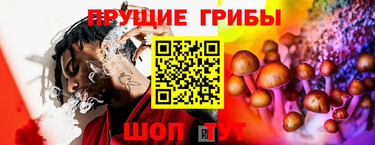 Псилоцибиновые грибы Cubensis Лангепас